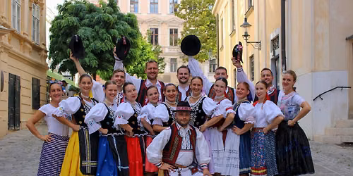 7. ro\u010dn\u00edk - Volksfest s FS Vinica