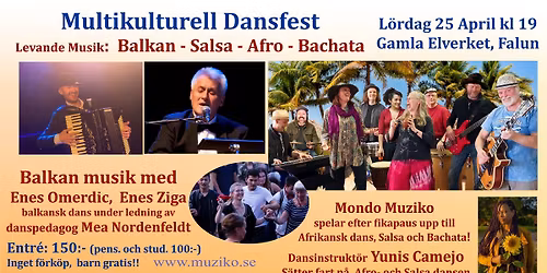 Multikulturell Dansfest