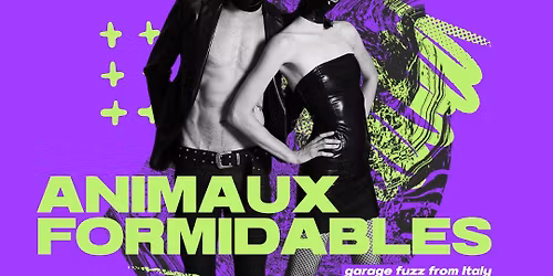 ANIMAUX FORMIDABLES + Nomad Shakes + Ben Maier