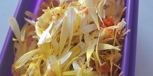 Xmas Market - University of Otago in Christchurch