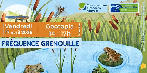 \ud83d\udc38 Fr\u00e9quence grenouille \u2013 Jouer, observer et reconna\u00eetre !