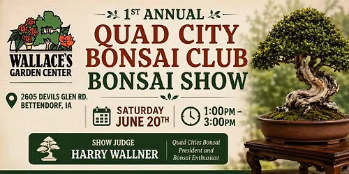 Bonsai Show with Quad City Bonsai Club
