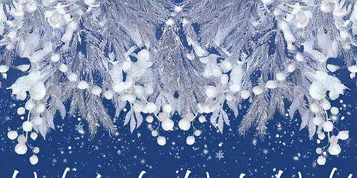 Weilerbacher Winterworld 2025