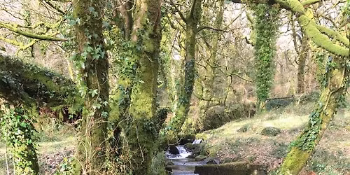 All At sea and Up The Creek with Rupert Kirkwood.