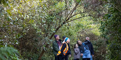 Brook Waim\u0101rama Sanctuary Open Day