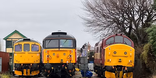 Diesel Gala