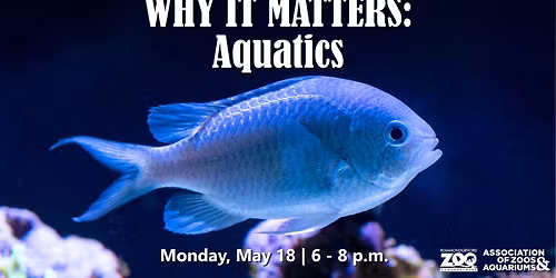 Why It Matters: Aquatics