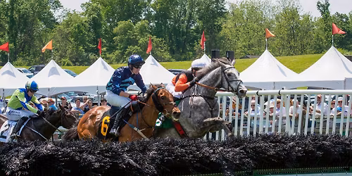 95th Radnor Hunt Races, benefiting the Brandywine Conservancy