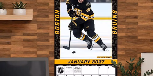 Pittsburgh Penguins vs. Boston Bruins