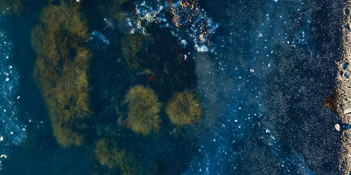 Julianna Barwick, Mary Lattimore in City of New York