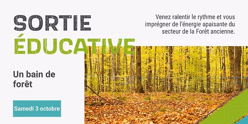 Sortie éducative - Bain de forêt