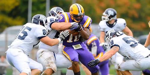 Delaware State Hornets at Albany Great Danes Football