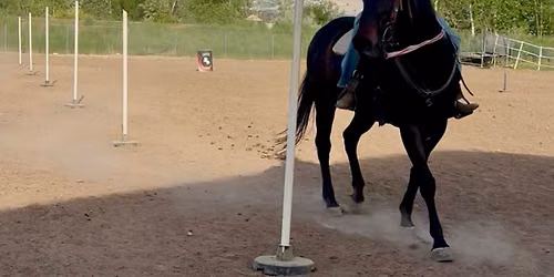 Summer Buckle Series #2 - Pole Bending