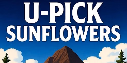 U-Pick Sunflowers Experience