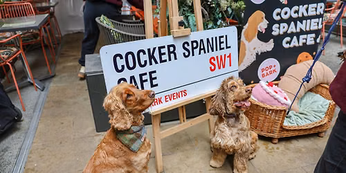 COCKER SPANIEL CAFE - MANCHESTER