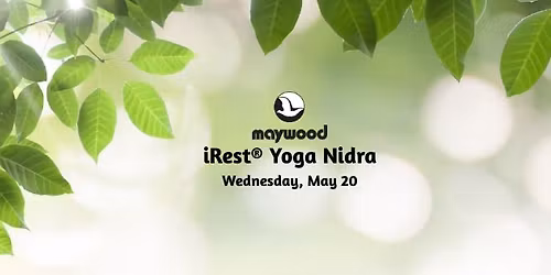 iRest\u00ae Yoga Nidra 