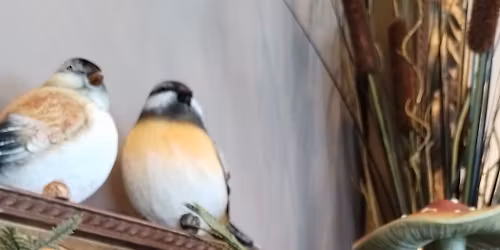 Among the Wildflowers - Spring Candle Making Workshop