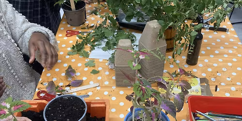 Gardening club