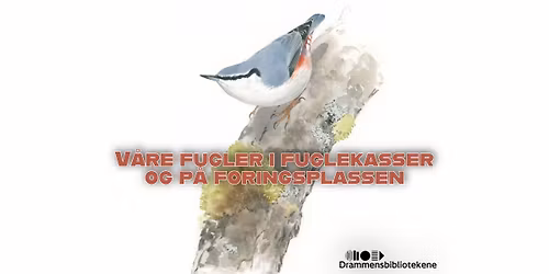 \u00d8ivind Egeland \/\/ V\u00e5re fugler i fuglekasser og p\u00e5 f\u00f4ringsplassen