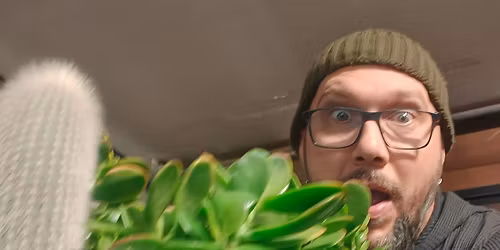 What the Fucculent?- How to take care of your cacti and succulents!