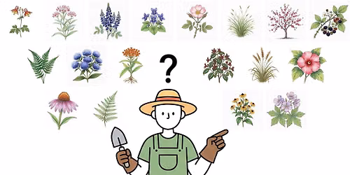 How to Choose and Combine Native Plants and Trees for a Great Garden