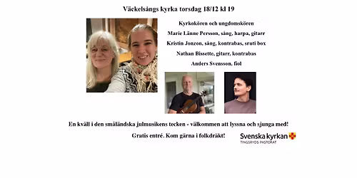En sm\u00e5l\u00e4ndsk jul!
