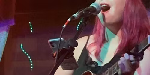 Local Vine in Salado, Texas