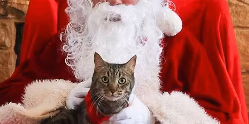Santa Photos at Mud Bay Redmond!