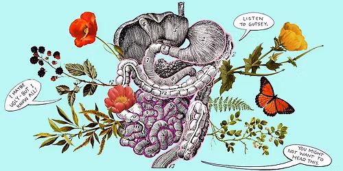 *sold out*  Gut Health and its Role in Healing Allergies, Inflammation and Autoimmune Issues