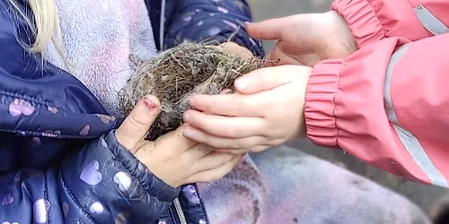 Woodland Wellbeing children's activity session