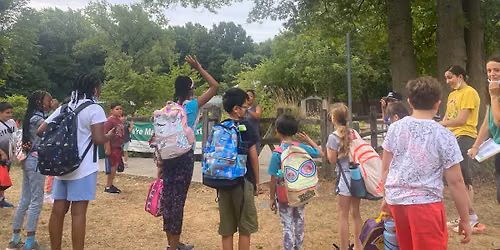Summer Break: Middle School (6th - 8th Grade)