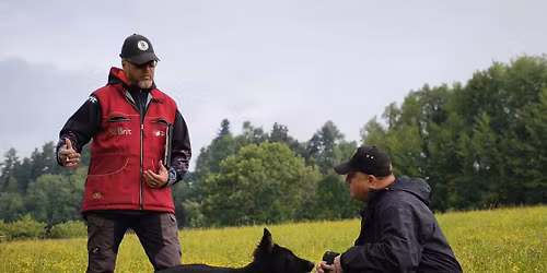 STOPA\u0158SK\u00dd V\u00cdKEND s A - Z team