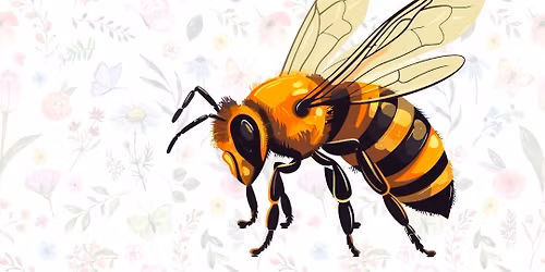 Preschool Program: Batty for Bees