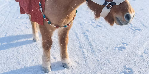 Julebord p\u00e5 Travbanen \ud83c\udf85