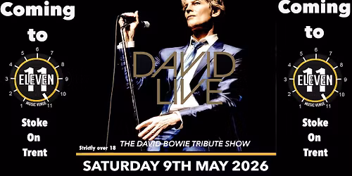 David Live the David Bowie tribute show live at Eleven Stoke