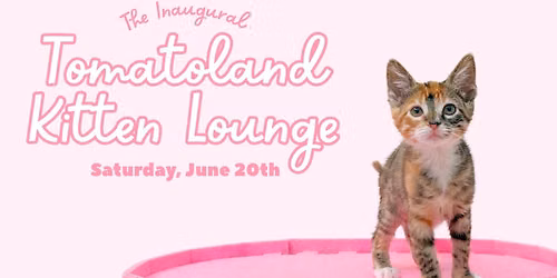 The Inaugural Tomatoland Kitten Lounge \ud83d\udc96