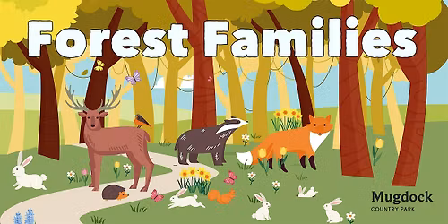 Forest Families - Sensational Shelters