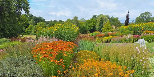 Garden Design Tips and Tricks