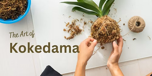 The Art of Kokedama with Elle