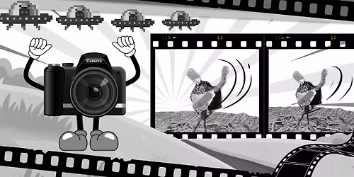 Animation Summer Camp