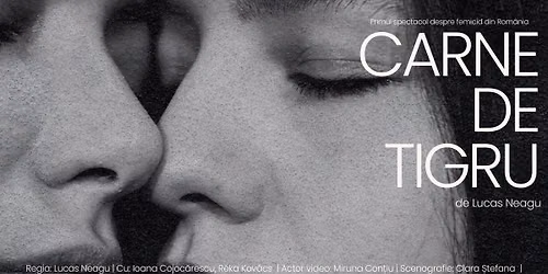 Carne de tigru | Spectacol de teatru