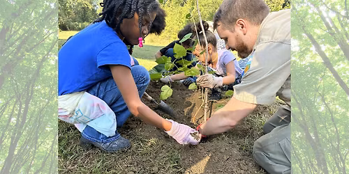 Nature Immersion: Let's Talk Trees