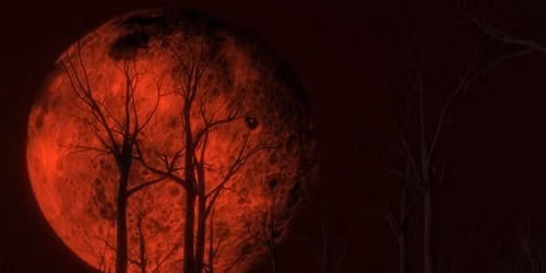 Goths Stare at the Moon (Lunar Eclipse Viewing)
