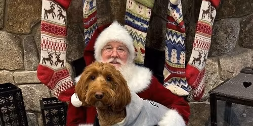 Sundays with Santa: A Festive Family Fun Event!