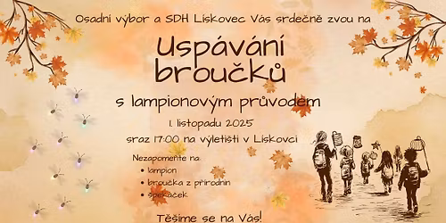 Usp\u00e1v\u00e1n\u00ed brou\u010dk\u016f