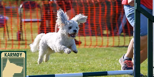 Sommerstevne i Agility p\u00e5 Karm\u00f8y 27.-28. juni 2026