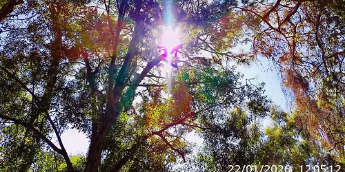 Under The Sun
