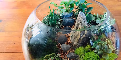 Mother's Day large terrarium workshop