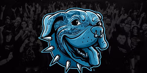 The Underdog 2026 | Grand Final