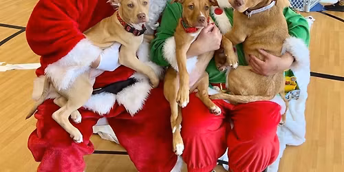 Pictures With Santa Paws